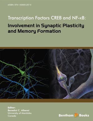 Transcription Factors CREB and NF-κB: Involvement in Synaptic Plasticity and Memory Formation            