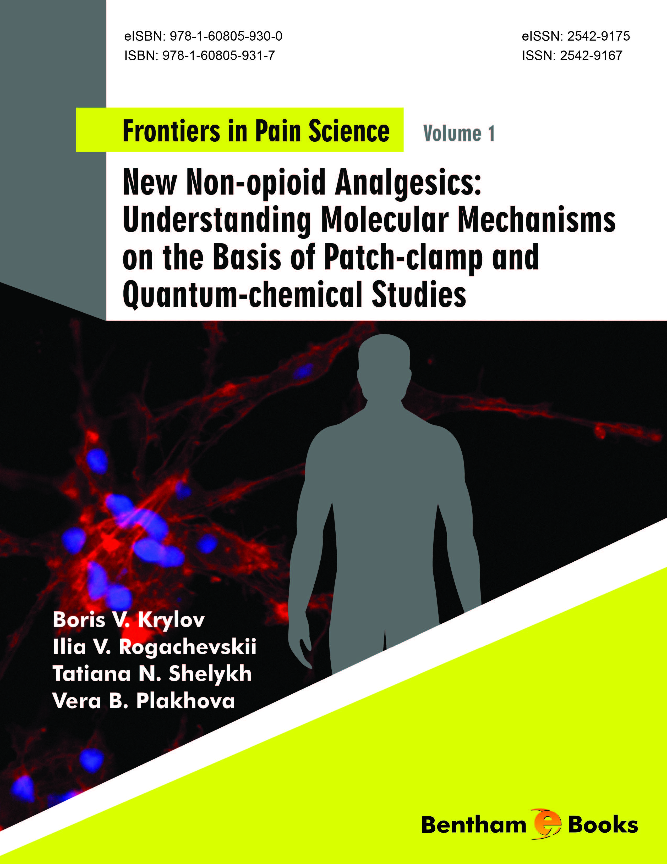 New Non-opioid Analgesics: Understanding Molecular Mechanisms on the Basis of Patch-clamp and Quantum-chemical Studies