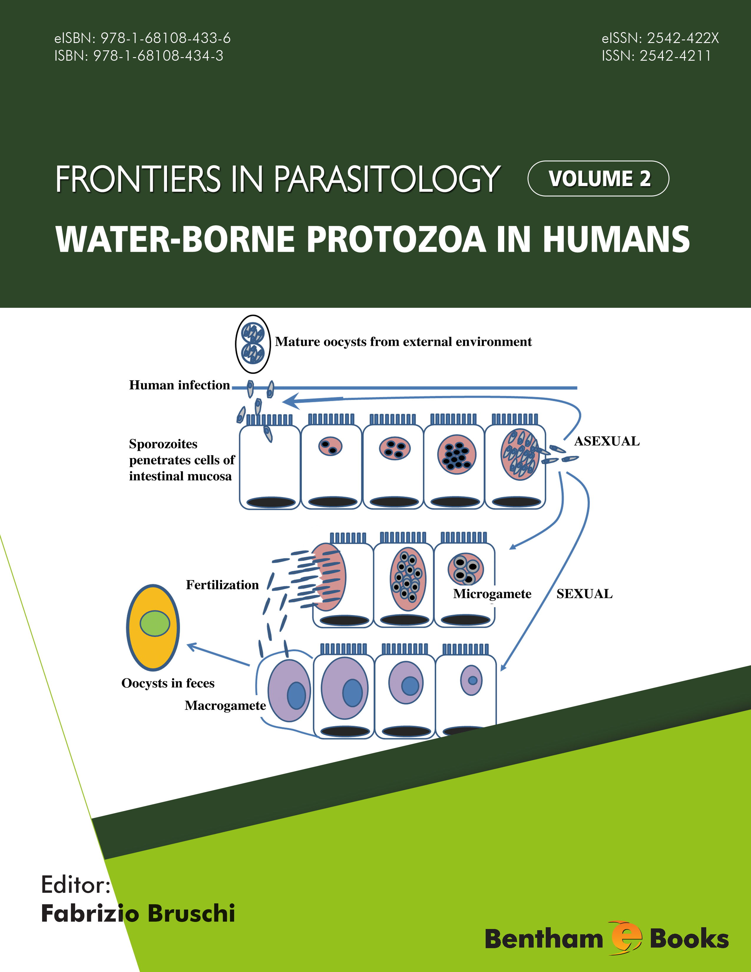 Water-borne Protozoa in Humans