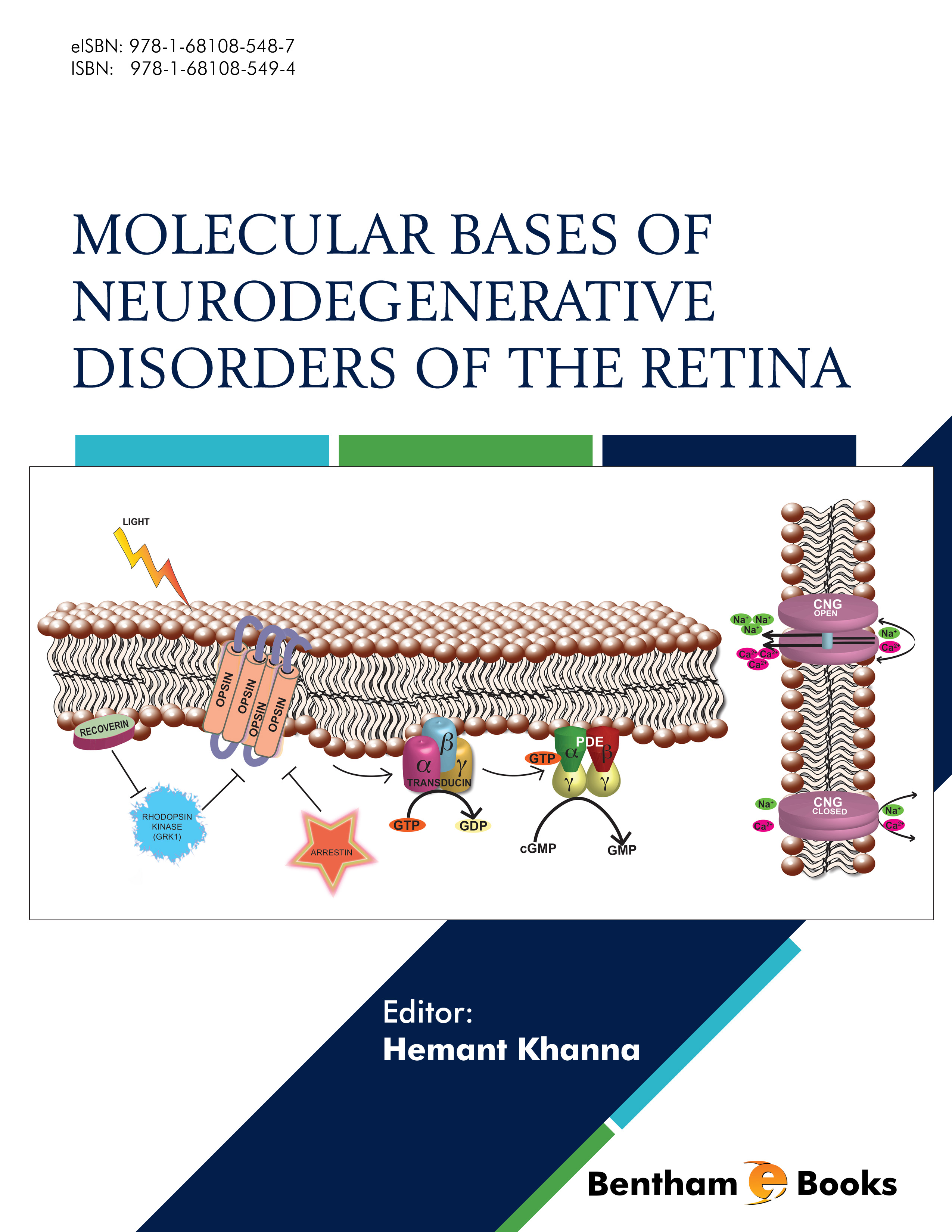 Molecular Bases of Neurodegenerative Disorders of the Retina