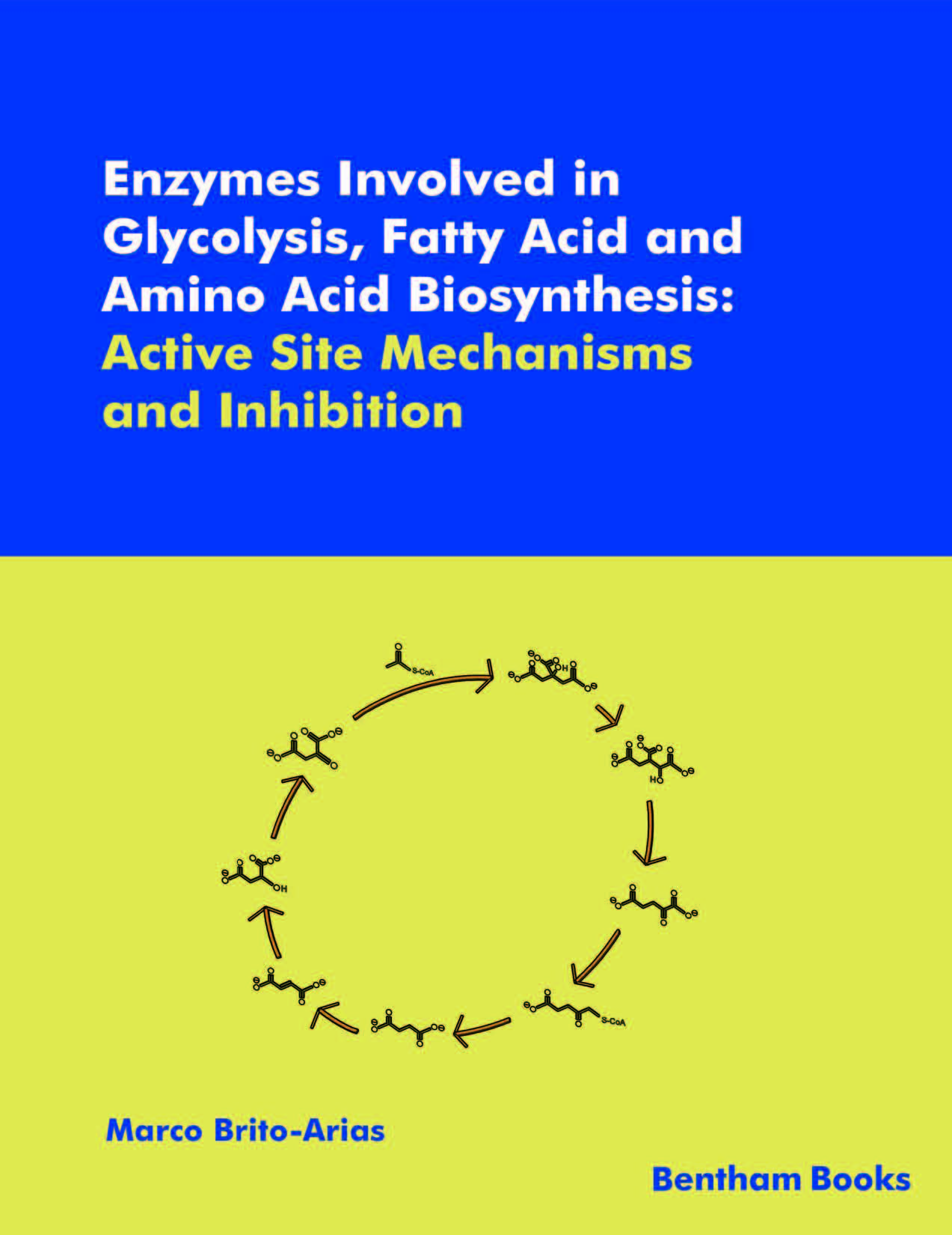 Enzymes Involved in Glycolysis, Fatty Acid and Amino Acid Biosynthesis: Active Site Mechanism and Inhibition