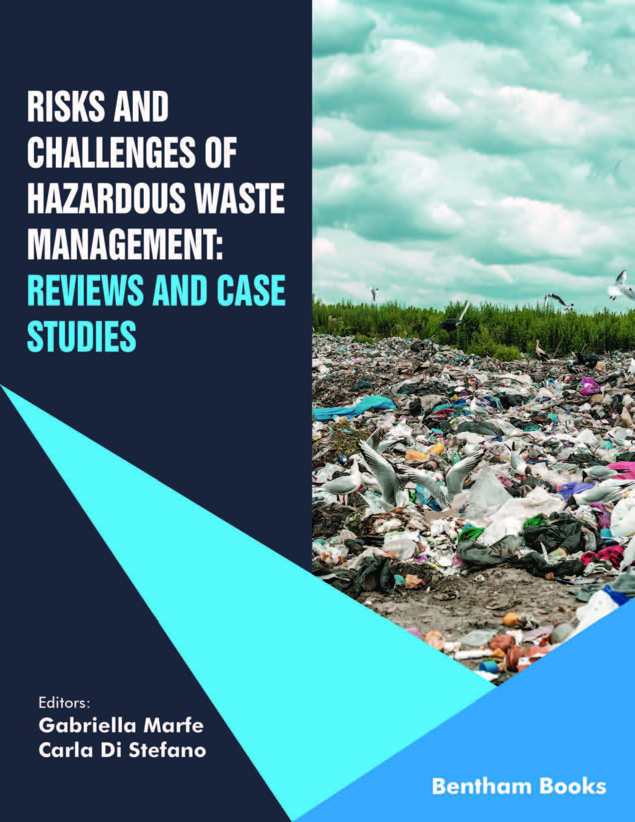 Risks and Challenges of Hazardous Waste Management: Reviews and Case Studies