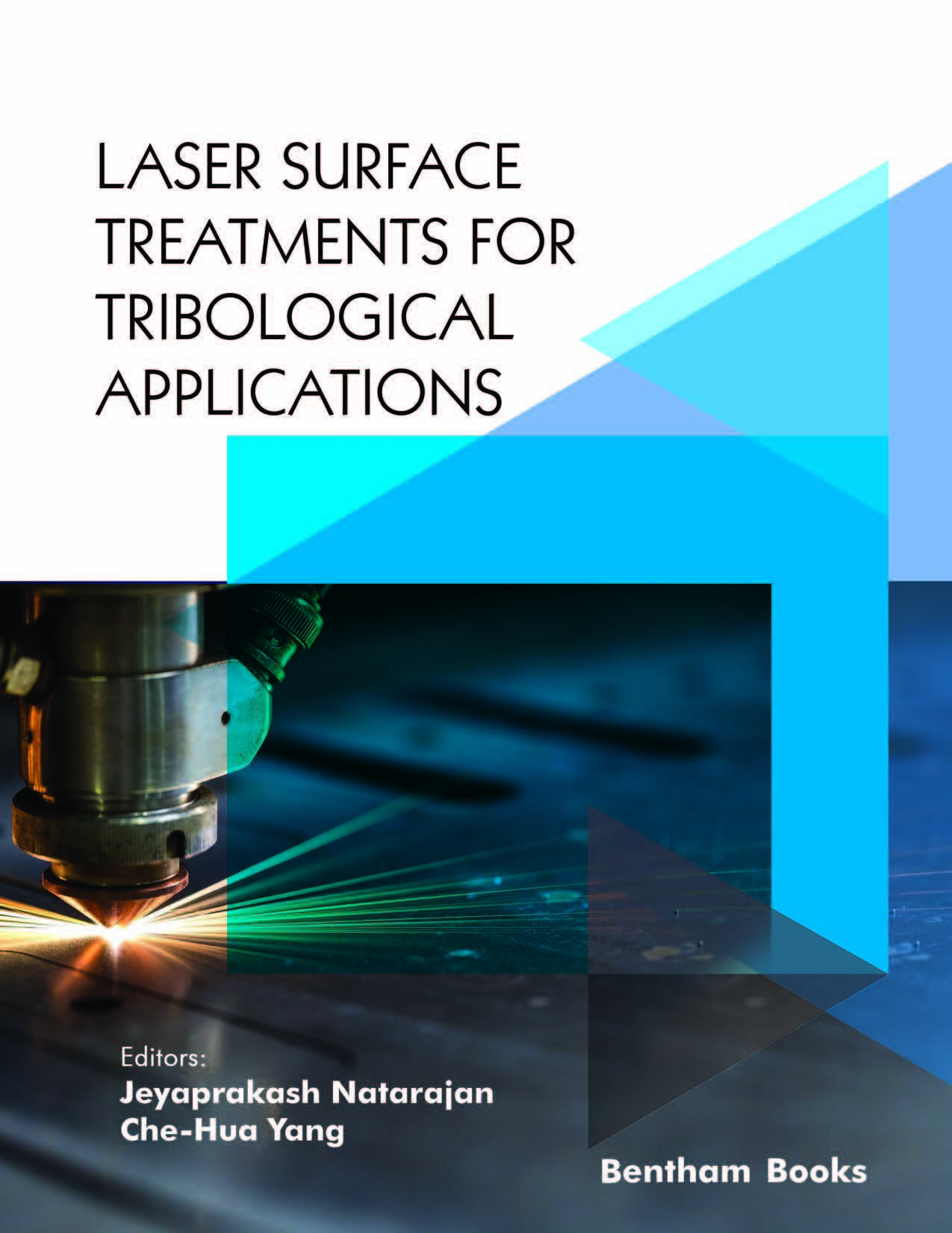 Laser Surface Treatments for Tribological Applications