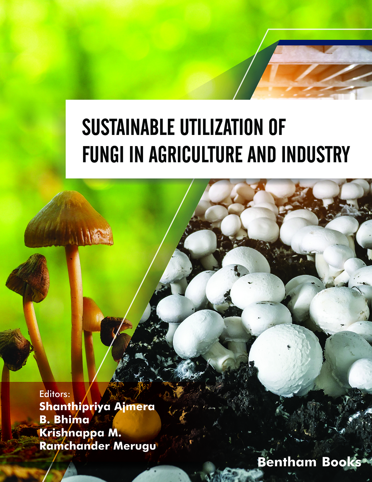 Sustainable Utilization of Fungi in Agriculture and Industry