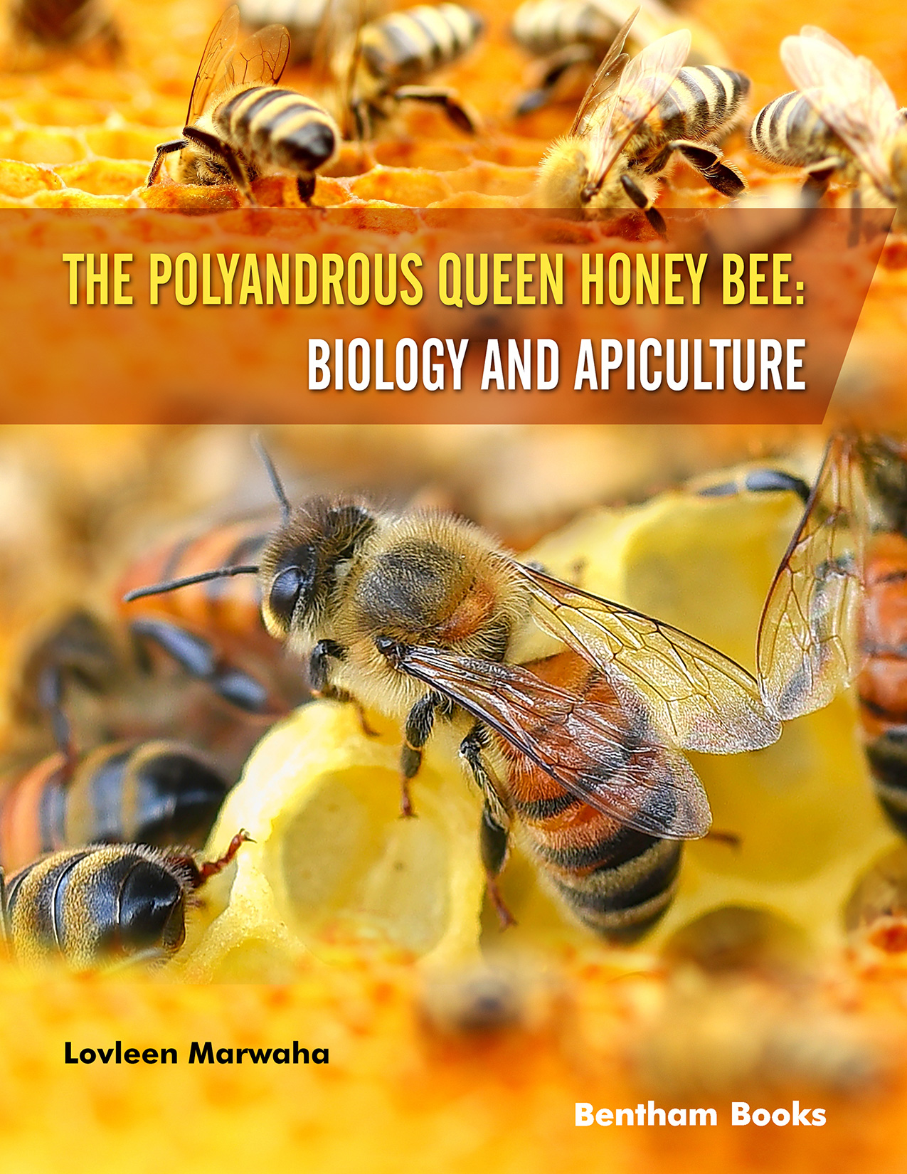 The Polyandrous Queen Honey Bee: Biology and Apiculture