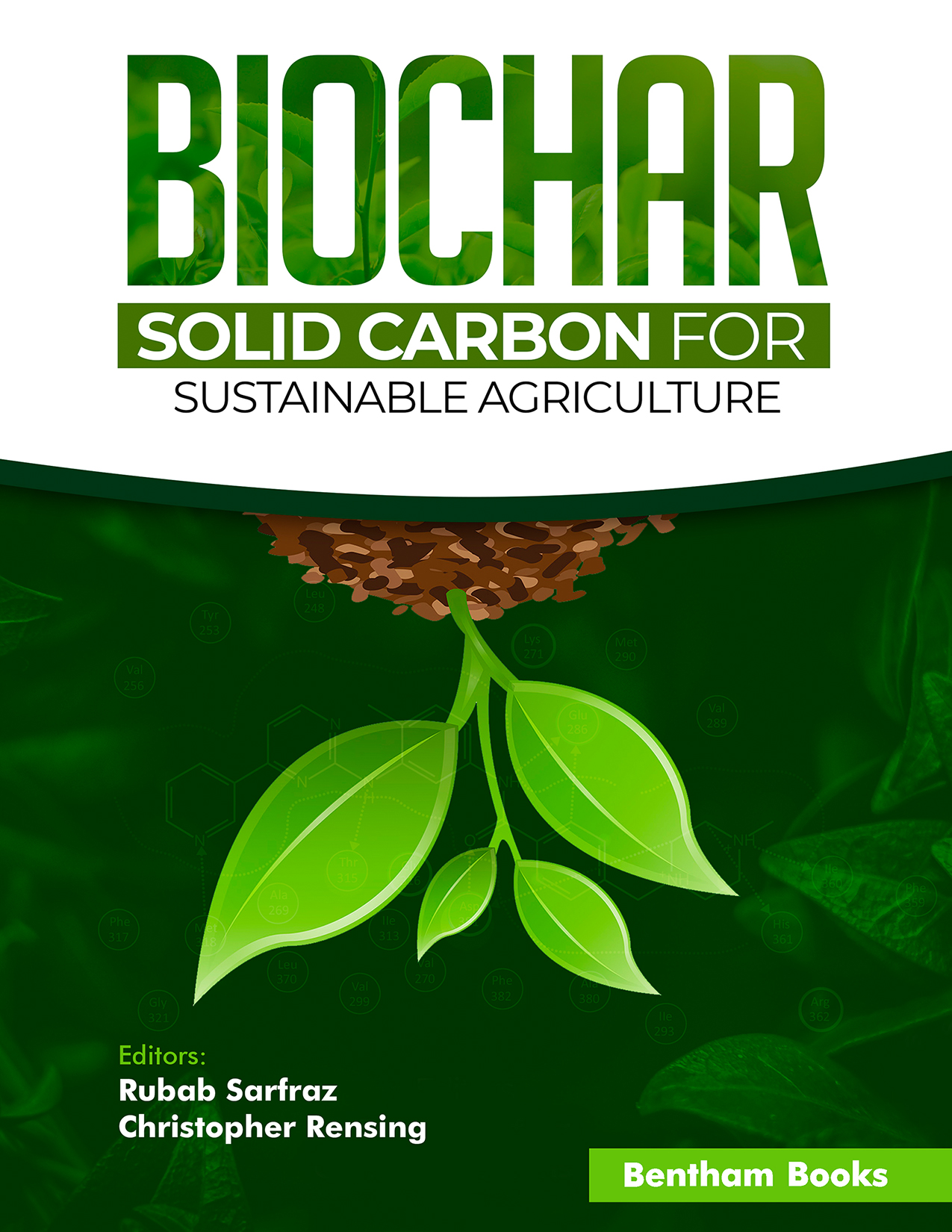 Biochar: Solid Carbon for Sustainable Agriculture