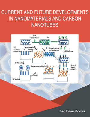Current and Future Developments in Nanomaterials and Carbon Nanotubes